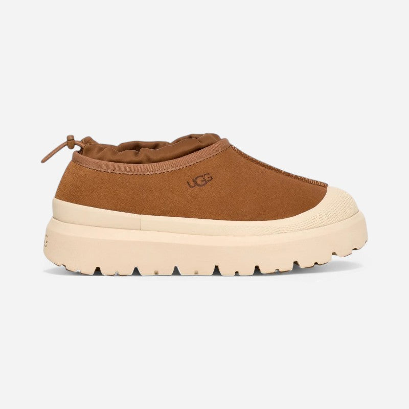 Men's Tasman Wthr Hybrid Chestnut
